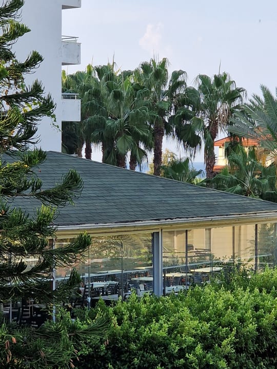 Ausblick Hotel Gardenia Beach