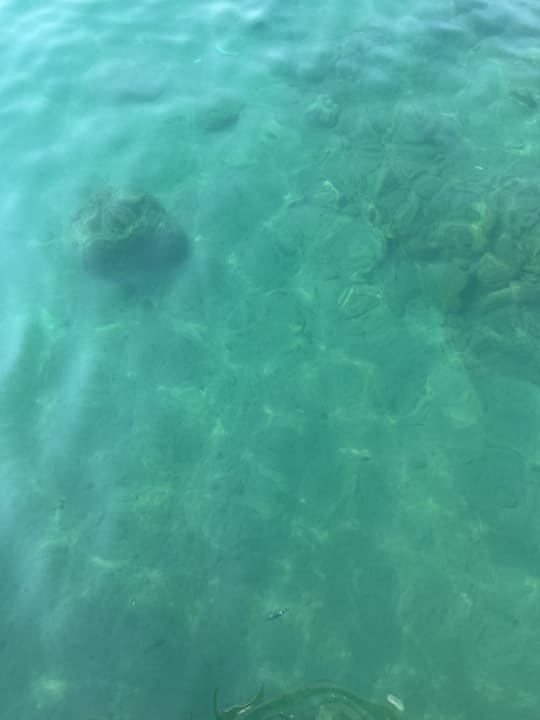 Strand Mylome Luxury Hotel & Resort