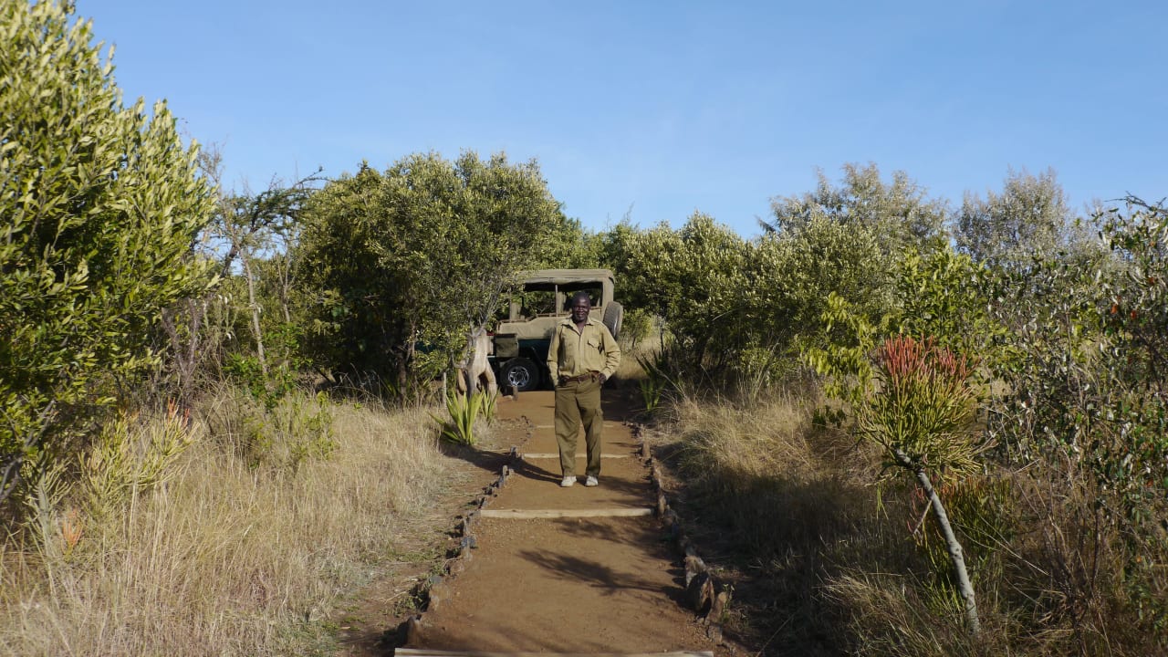 Camp Kilima über Kurt Kilima Safari Camp