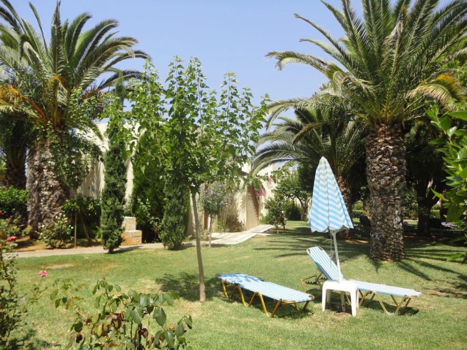 Ogród allsun Hotel Malia Beach