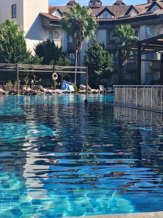 Pool Hotel Orfeus Park