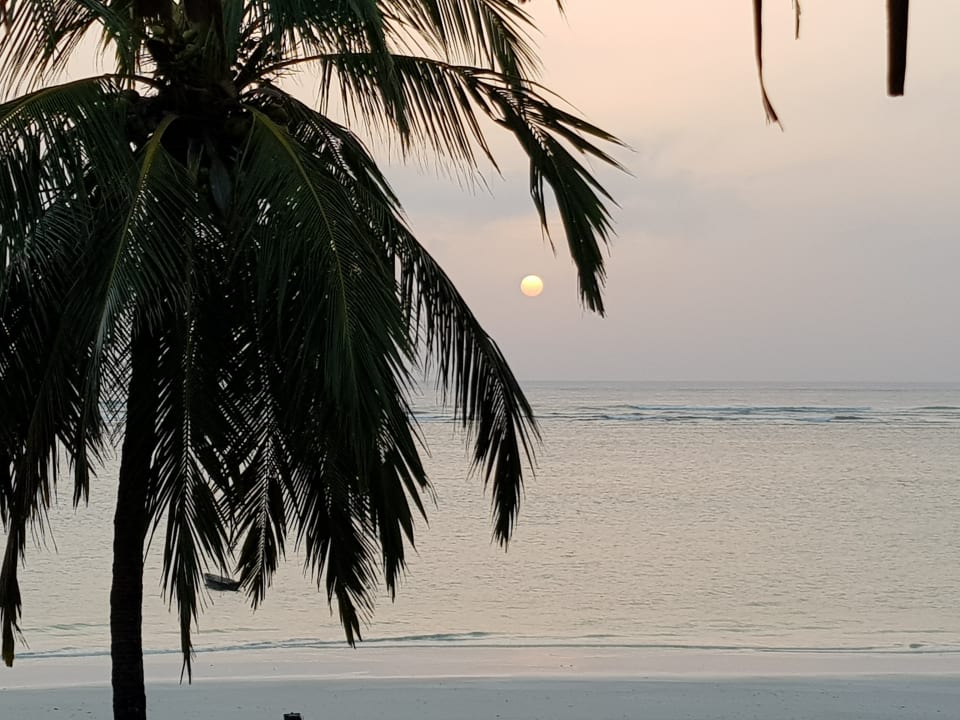 Ausblick vom Balkon Hotel Southern Palms Beach Resort