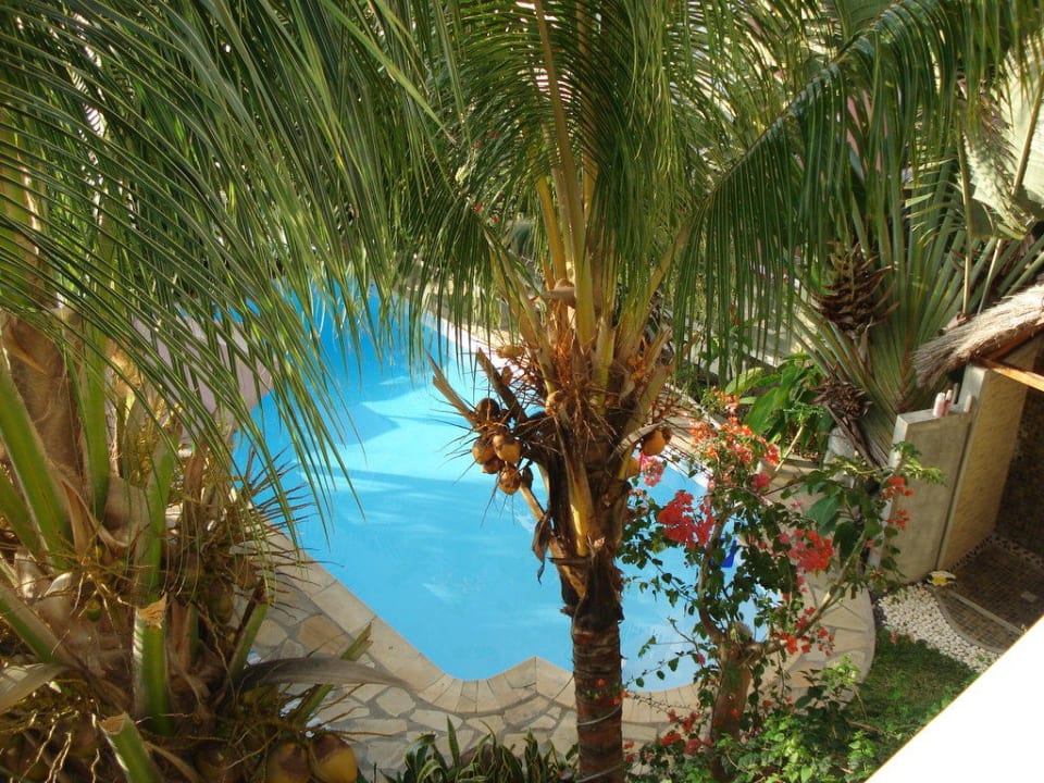 Ausblick vom Zimmer auf die gepflegte Anlage Villa Seewoo