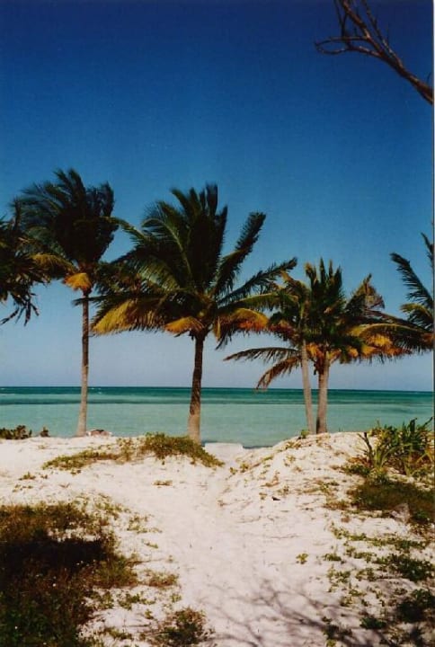 Villa Cojimar Starfish Cayo Guillermo