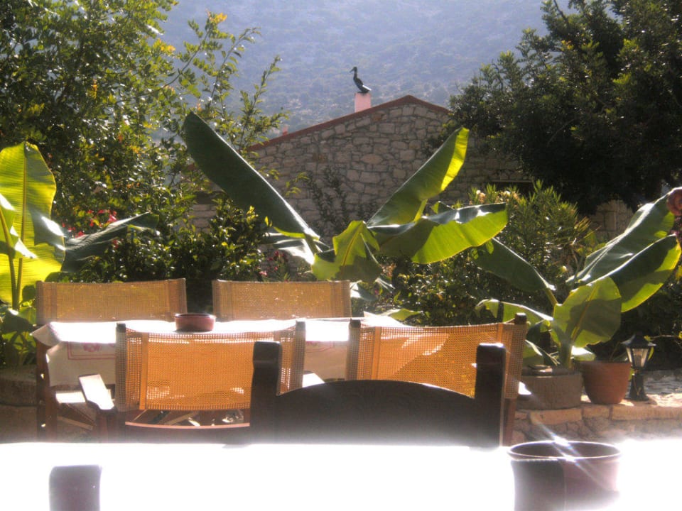 In der Taverne gibt es Frühstück und Abendessen Stone Village Petrino Horio