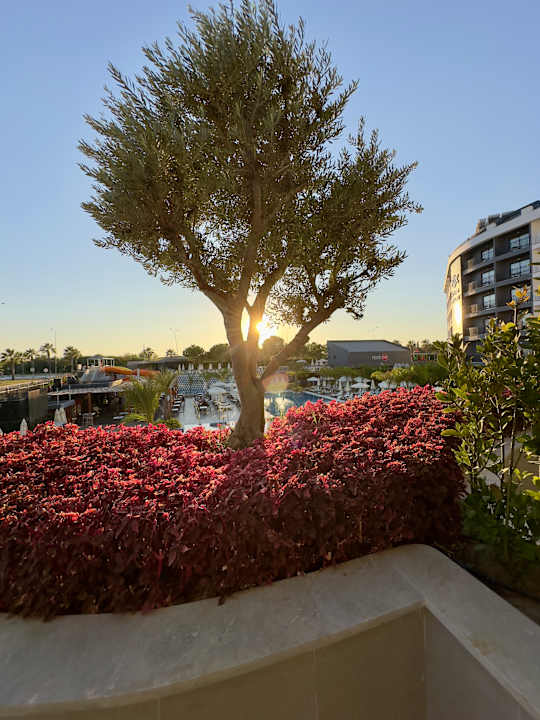 Zimmer VOX MARIS RESORT