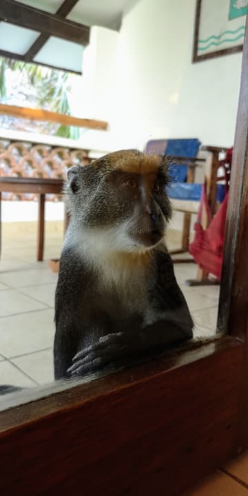 Sonstiges Hotel Pinewood Beach Resort & Spa