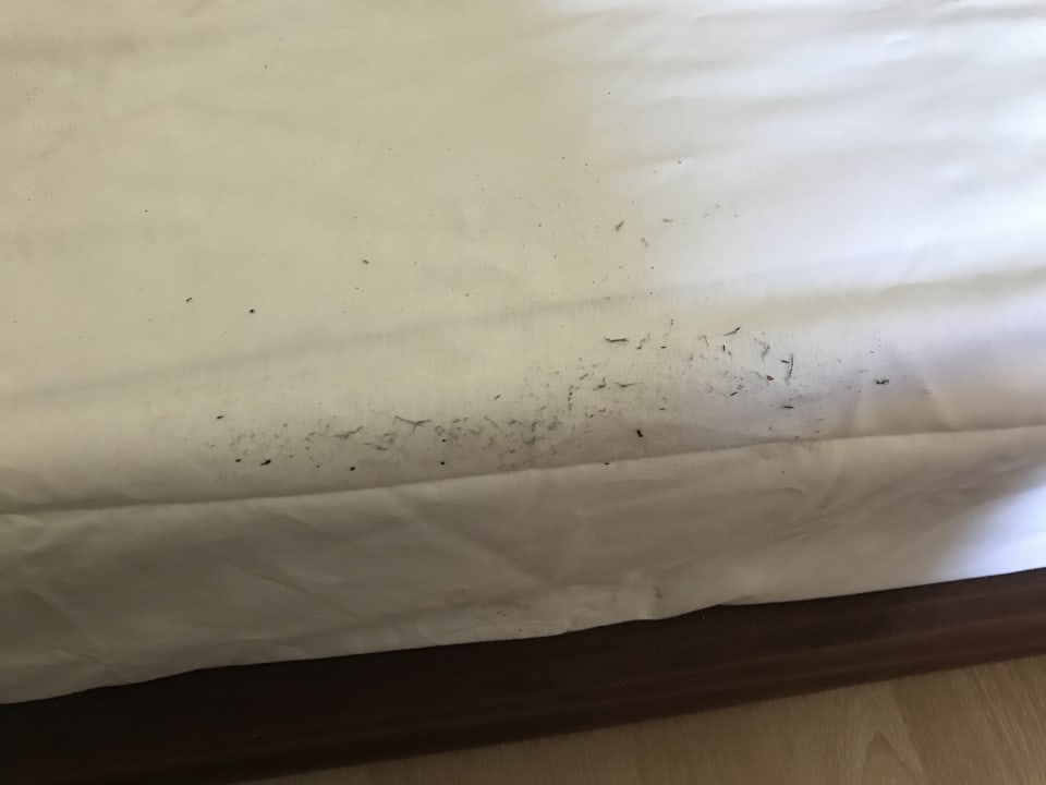 Zimmer Hane Family Resort