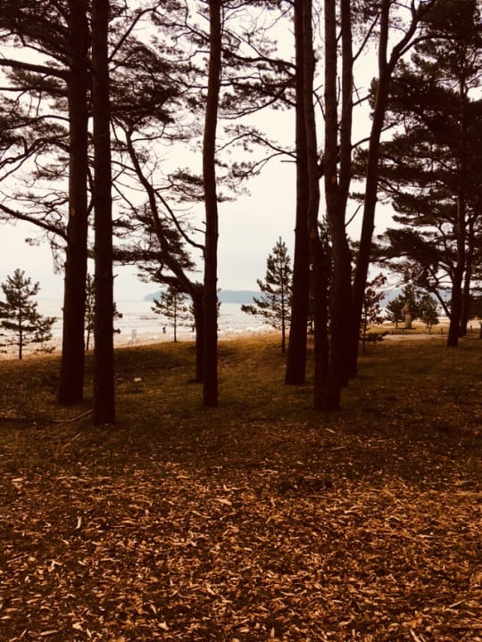 Gartenanlage IFA Rügen Hotel & Ferienpark