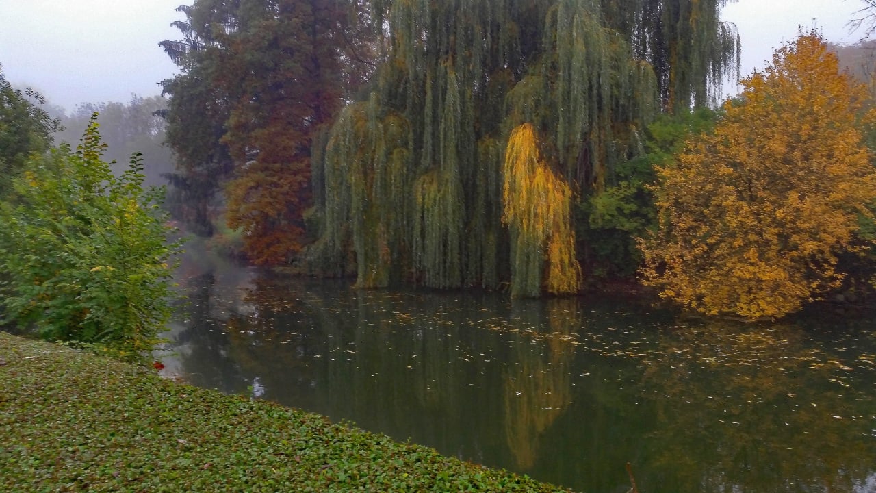 Der Park grenz direkt an den Fluss Ill Hotel Les Prés D'ondine