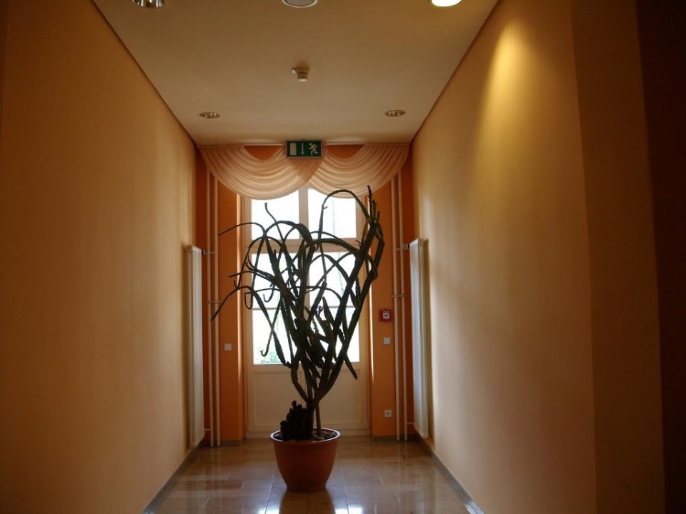 Flur in der ersten Etage; Elbblick Parkhotel Bad Schandau
