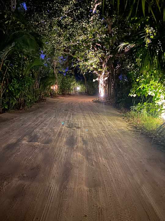 Gartenanlage Kuredu Island Resort & Spa