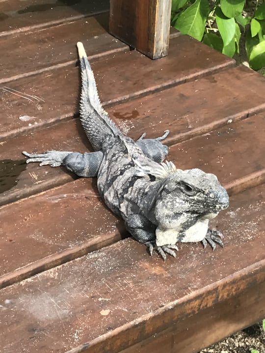 Sonstiges Akumal Bay Beach & Wellness Resort