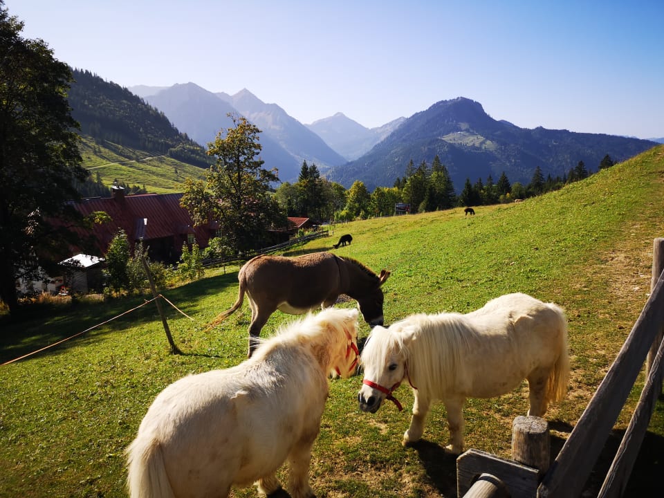 Gartenanlage Oberjoch - Familux Resort