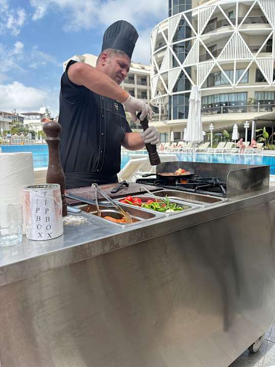 Gastro Seashell Vega