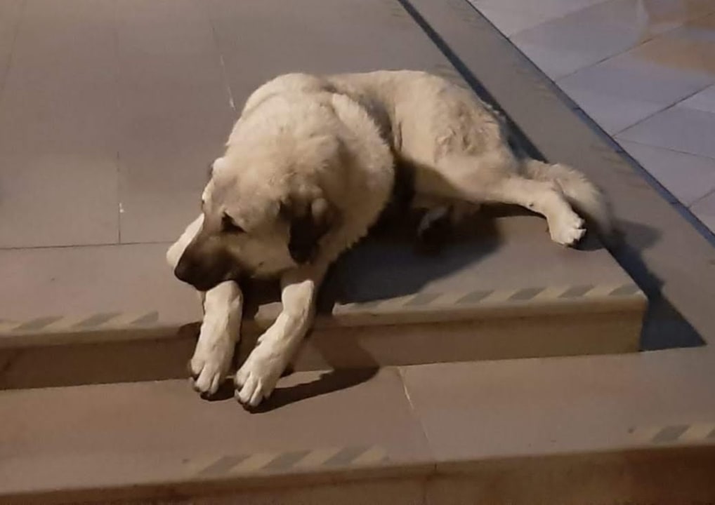 Sonstiges Kilikya Palace Göynük