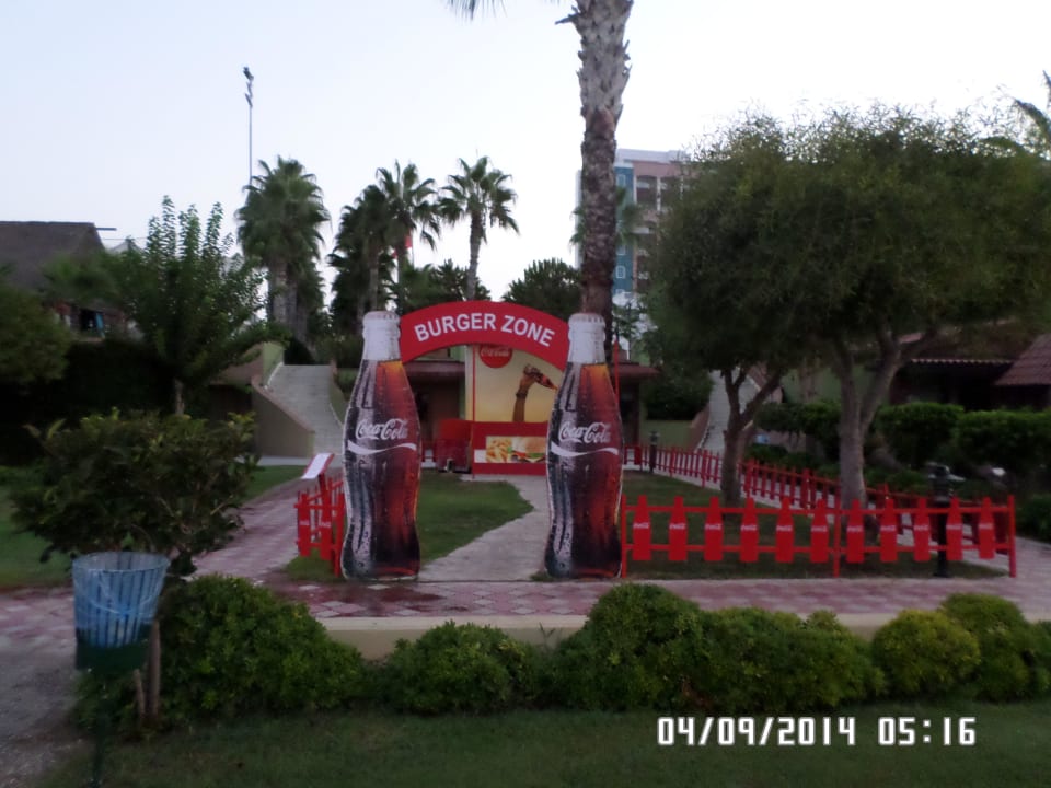 Burger zone Kamelya Aishen Club