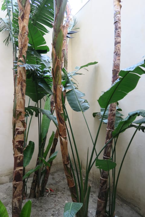 Sonstiges Atlantica Belvedere Resort