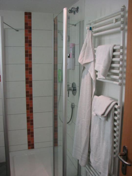 Dusche / Handtuchhalter Zimmer 439 Parkhotel Jordanbad