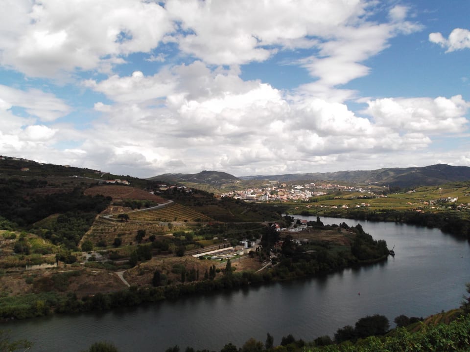 Douro from your balcony Hotel Delfim Douro