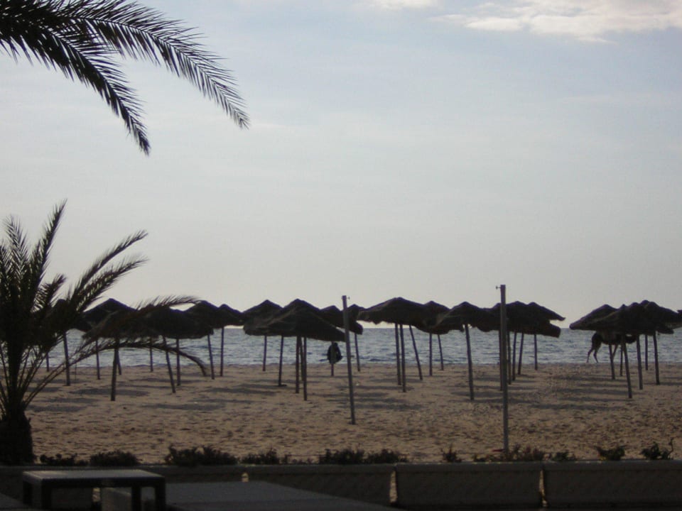 Auch im Winter gepflegter Strand Steigenberger Marhaba Thalasso Hammamet