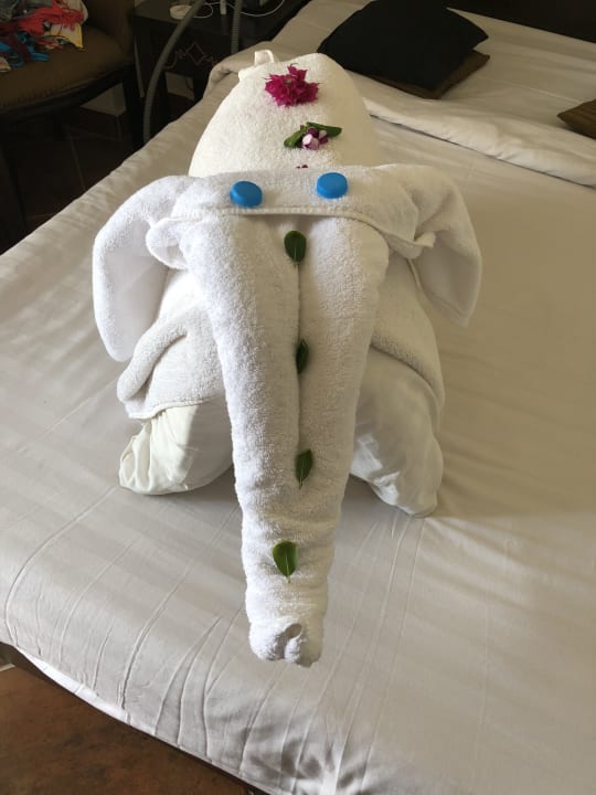 Zimmer Three Corners Sea Beach Resort