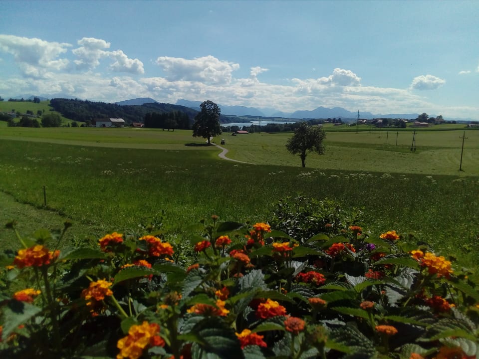 Ausblick Ferienhotel Herzog