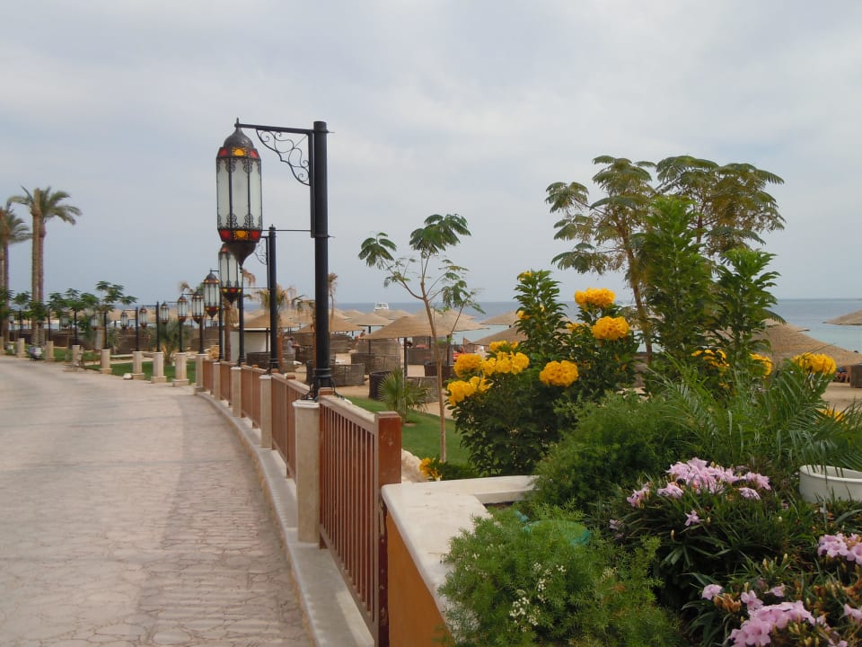 Am Strand entlang Grand Waterworld Makadi & Family Star Makadi