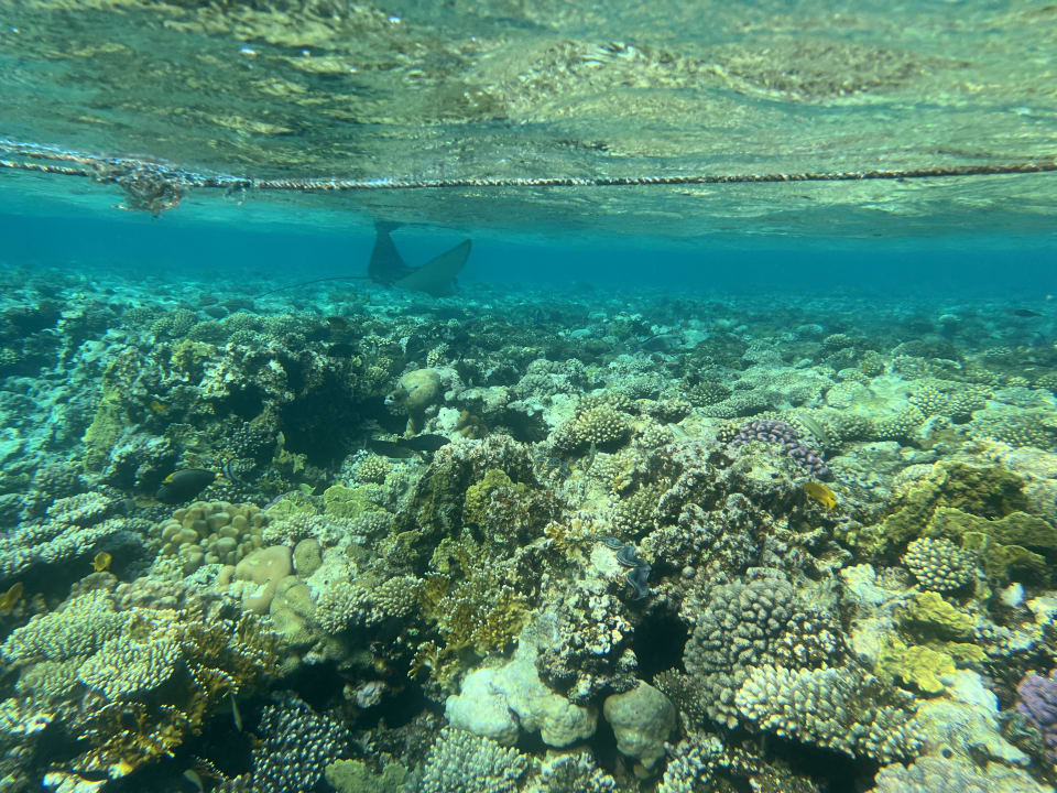 Strand Makadi Spa - Adults only