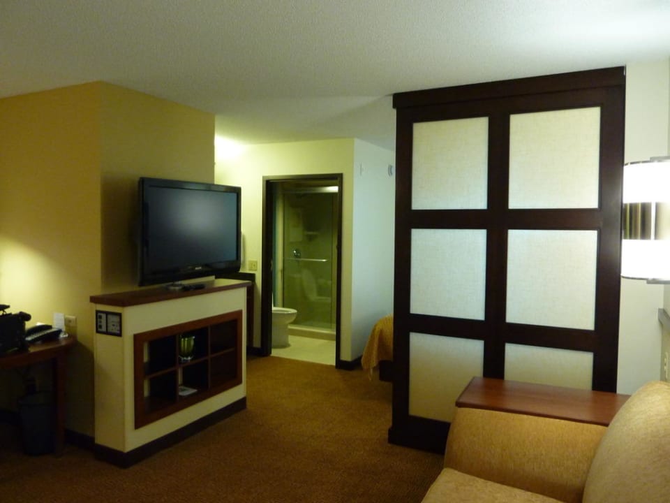 Blick vom Sofa Hotel Hyatt Place Fort Myers / at The Forum