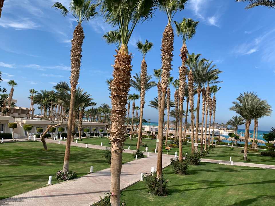 Gartenanlage Meraki Resort (Adults Only)