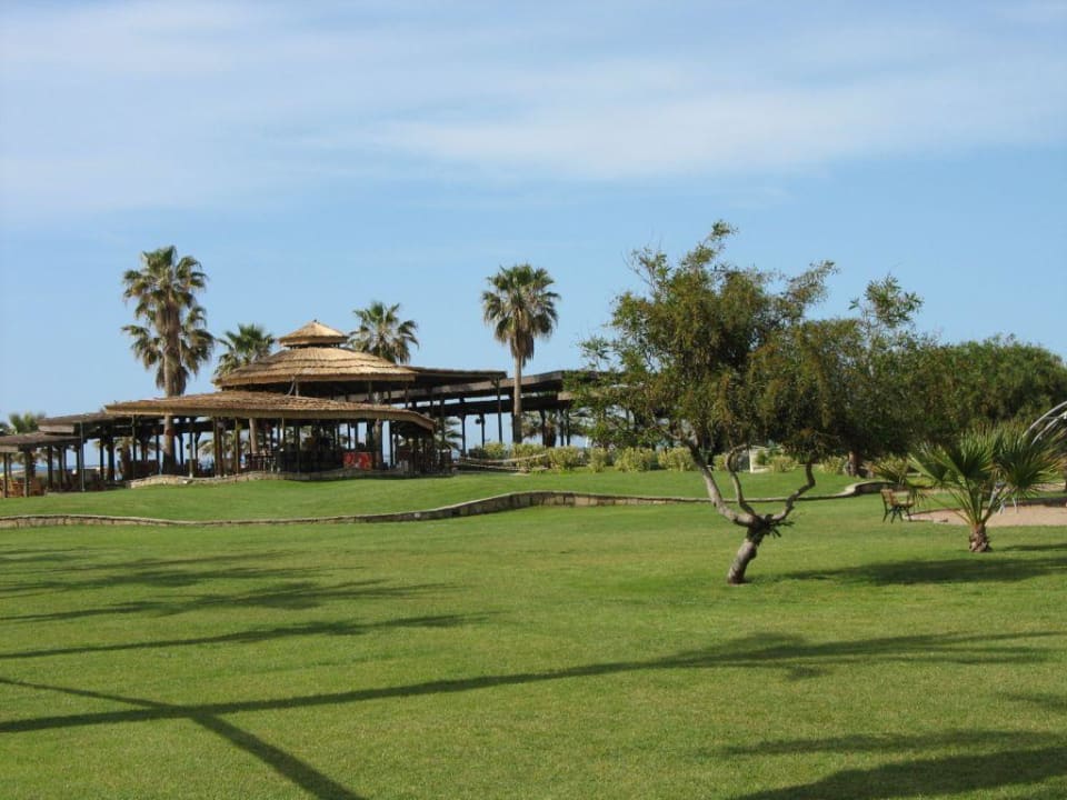 Beach-Bar Blue Waters Club