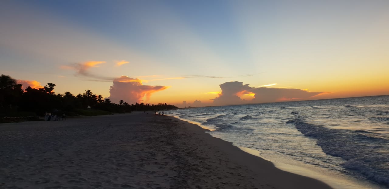 Strand Starfish Cuatro Palmas