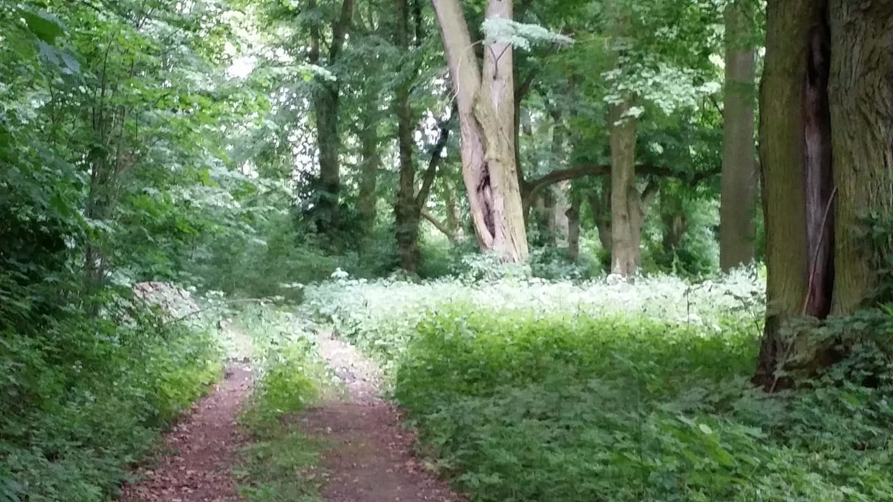 Natur pur Hotel Pałac Runowo