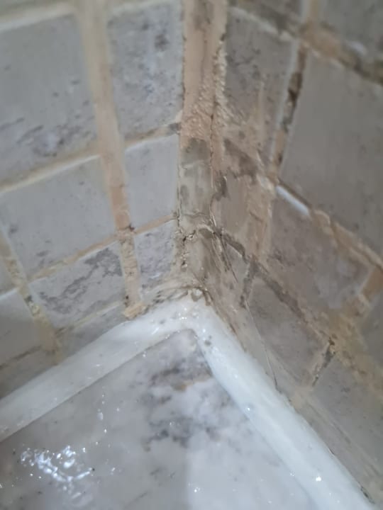 Zimmer Marvida Family Eco