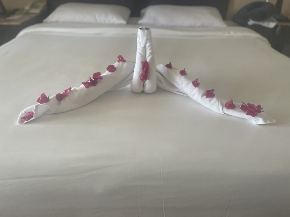 Zimmer TUI MAGIC LIFE Kalawy