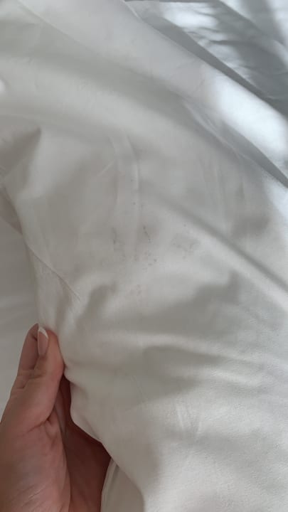 Zimmer Well Palace Side