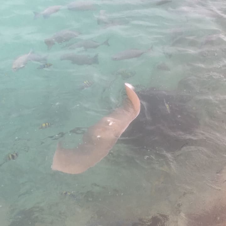 Strand Summer Island Maldives