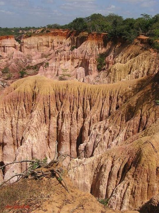 Hell's Kitchen  1 Hotel Traveller's Club