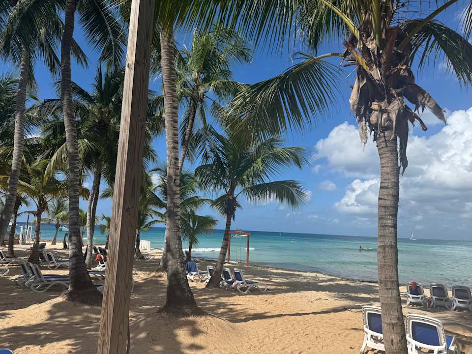 Strand Hotel Viva Dominicus Palace by Wyndham-All Inclusive Resort