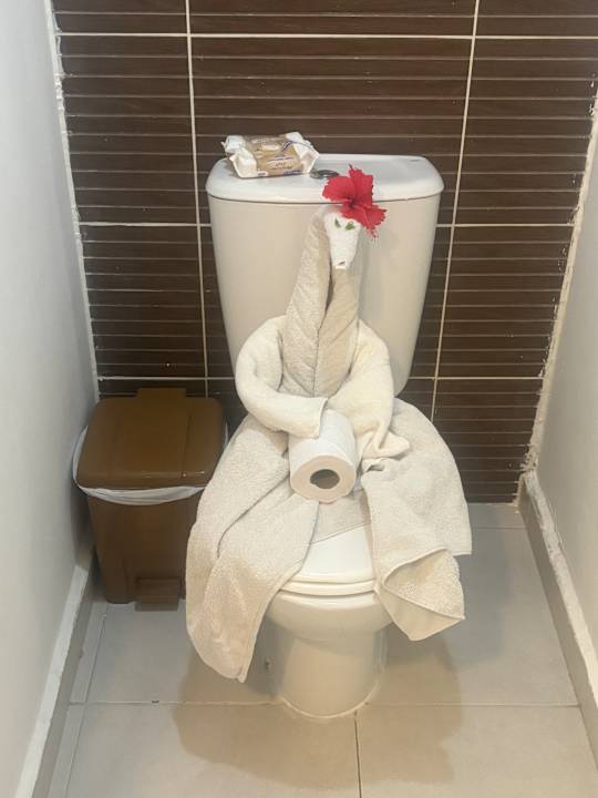 Zimmer Royalton Cayo Santa Maria