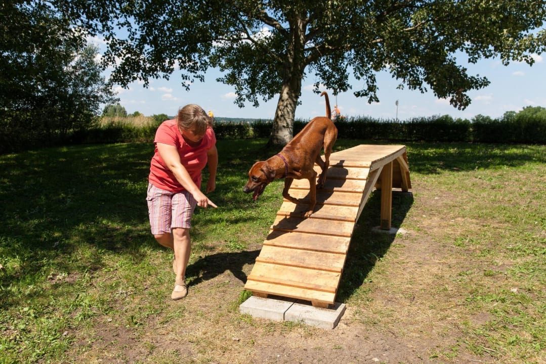 Hundespielplatz/ Hundebadestrand Hotel Reiterhof Altmühlsee