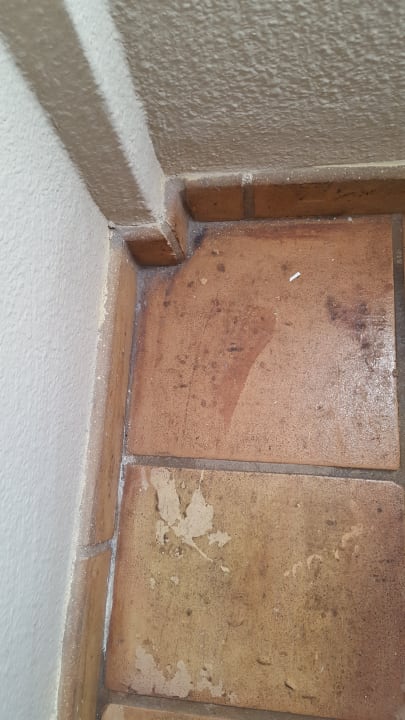 Zimmer Los Olivos Beach Resort