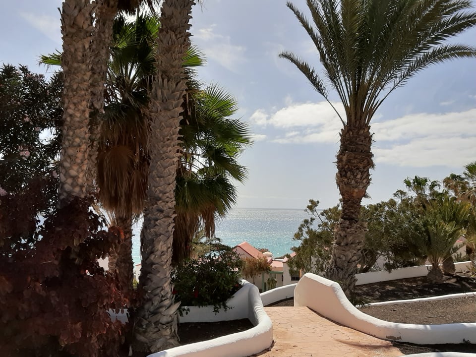 Ausblick Aldiana Club Fuerteventura