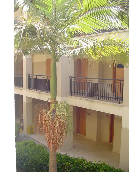 Unseres Calimera Serra Palace