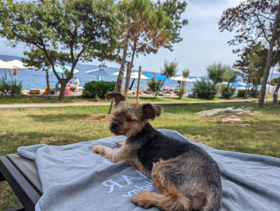 Strand Valamar Girandella Designed for Adults