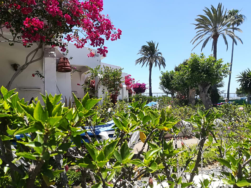 Gartenanlage Sahara Beach Club