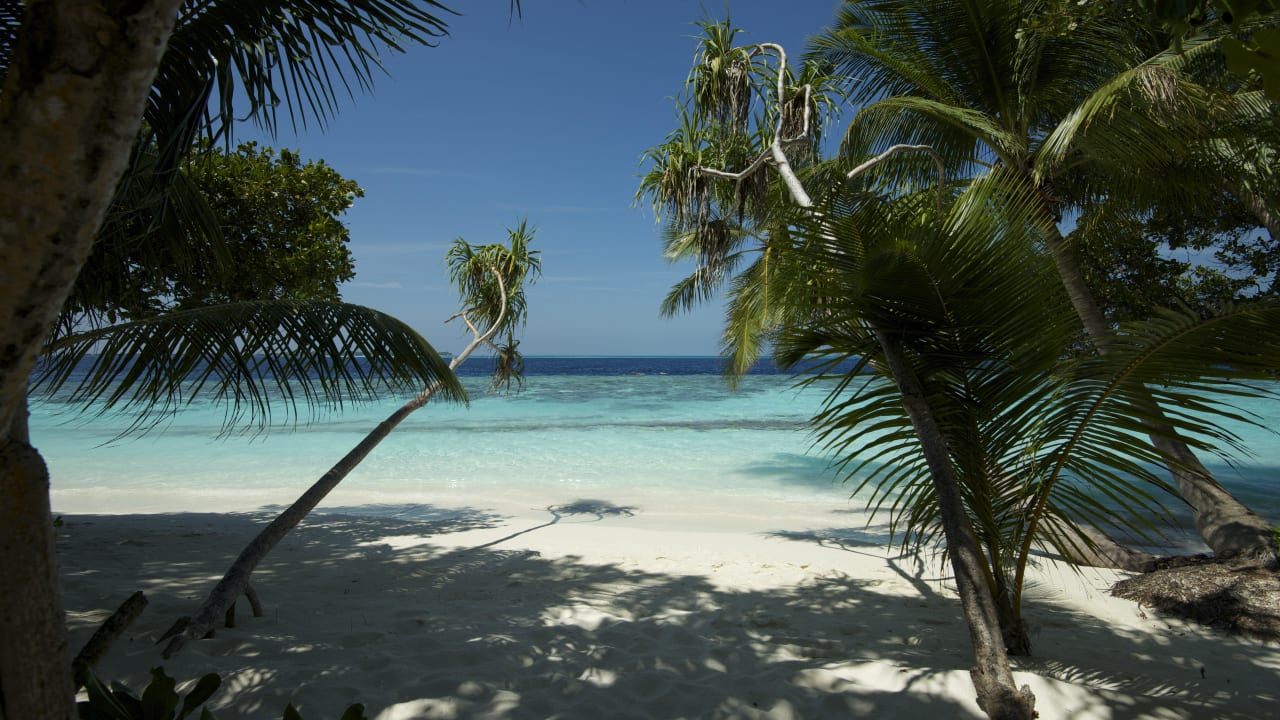 Strand Nordseite Vilamendhoo Island Resort & Spa