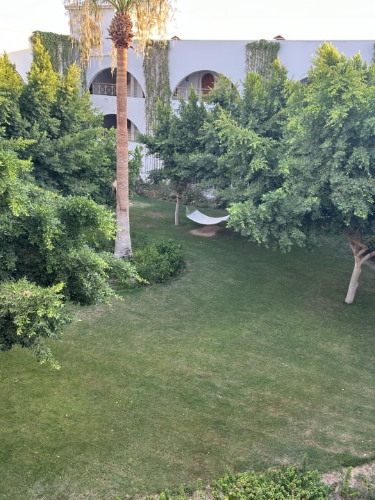 Gartenanlage Desert Rose