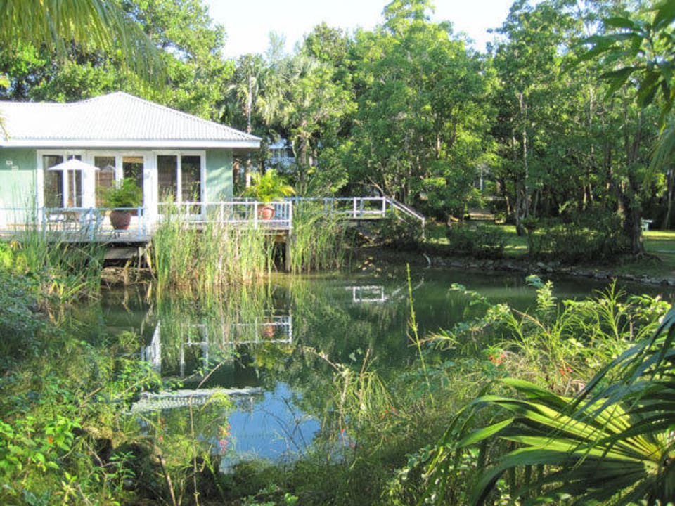 Herrlich angelegter Garten mit Teich Couples Negril - Adults only